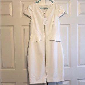 NWT Ted Baker dress
